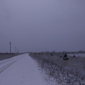 look what you've done while i'm still alive (Inst.)