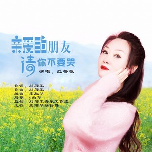 亲爱的朋友请你不要哭封面