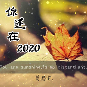 你还在2020