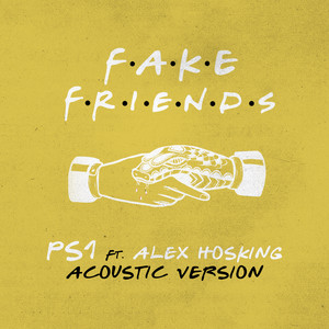 Fake Friends (Acoustic)