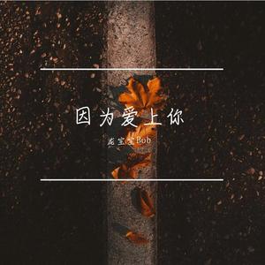 因为爱上你