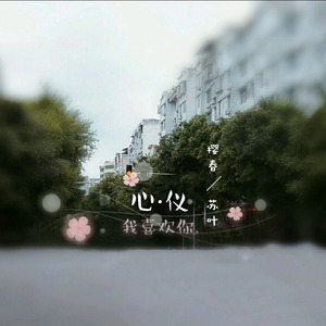 心仪封面