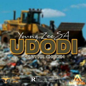 Udodi