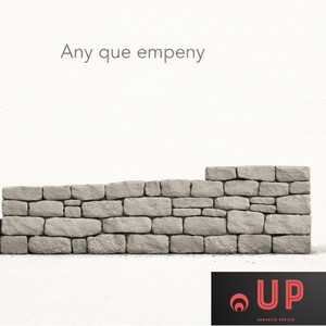 Any que empeny