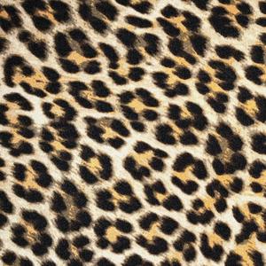 HIDE N SEEK (Explicit)