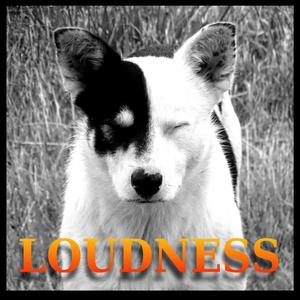 LOUDNESS DUB