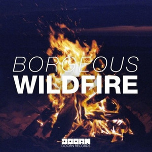 Wildfire (Defners Bootleg)