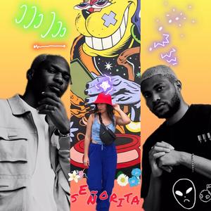 Señorita (feat. Ana Bulnes) (Remix)