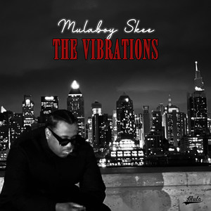 The Vibrations (Explicit)