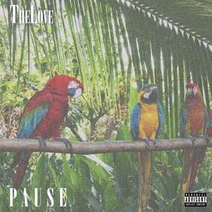 Pause (Explicit)