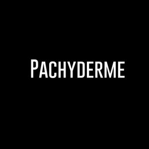 Pachyderme (feat. HAZEBOI & SAMIT BEATZ) [Explicit]