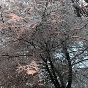 这世界那么多人