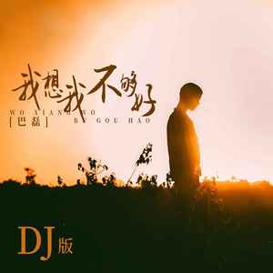 我想我不够好 (DJ版伴奏)