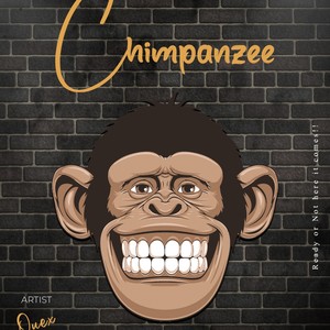 Chimpanzee