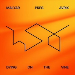 Dying on the Vine (Extended Mix)