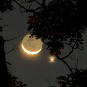 Thank You Haters (Explicit)