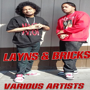 Layns & Bricks