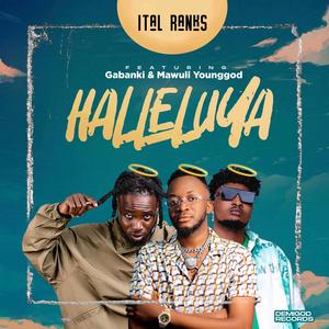 Halleluya (feat. Gabanki & Mawuli Younggod)
