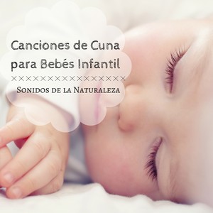 Canciones de Cuna para Bebés Infantil, Sonidos de la Naturaleza, Harmonia Interior