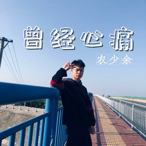 农少余（老益） - 曾经心痛