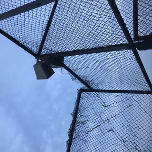 我的朋友圈很窄