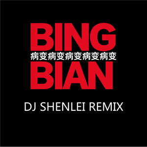 Cubi - BINGBIAN 病变 (SHENLEI remix)