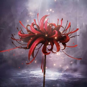 彼岸花开 (治愈版)