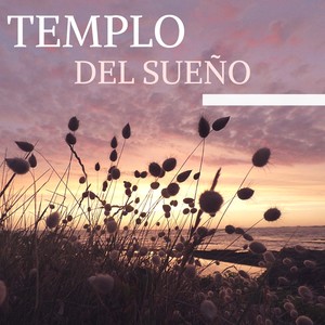 Templo del Sueño - Sonidos Naturales para la Serenidad Interior y Paz Profunda