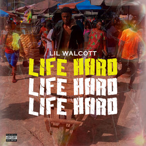 Life Hard (Explicit)