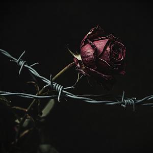 Her Love Is Like a Drug (feat. Ded Zed) (Explicit)