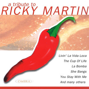 A Tribute To Ricky Martin