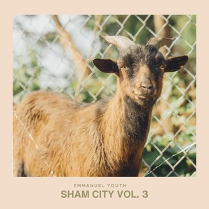 Sham City, Vol. 3 (Live)