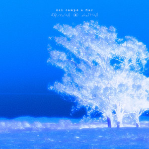 del campo a Mar