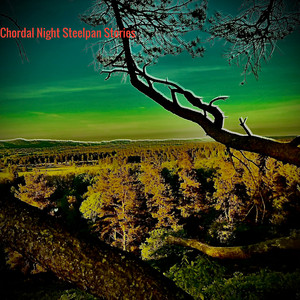 Chordal Night Steelpan Stories