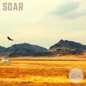 Soar