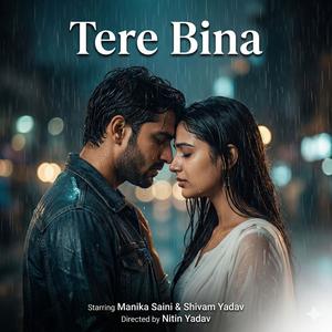 Tere Bina (feat. Shivam Yadav & Nitin Yadav)