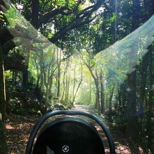 2024 lullaby compositions