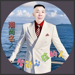 拨动心弦的人 (DJ名人版)