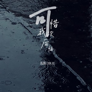 可惜我没后悔 (伴奏)