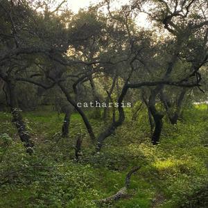 photosynthesis (feat. Cameron Lane) (Explicit)