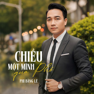 Chiều Một Mình Qua Phố