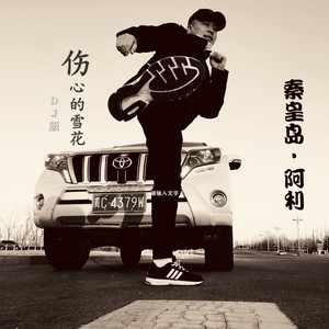 伤心的雪花 (DJ何鹏版)
