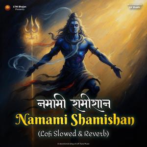 Shiv Rudrashtakam | Namami Shamishan (नमामी शमीशान) | LoFi Music (Lift Tune Music Remix Shiv Stotram Lo-Fi|Panchakshar, Shiv Tandav Strotam)