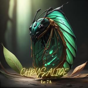 AVERSE (feat. TCHECK) (Explicit)