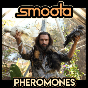 Pheromones (Explicit)