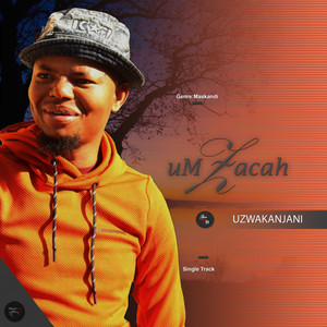 Uzwakanjani(feat. Ijong'elihle, Imillionaire & Mjikelo)