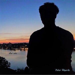 Jag trodde nog aldrig (feat. Mats Frisell)