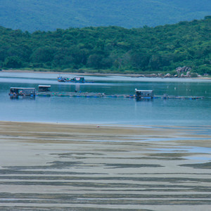 Unlikely Tech (Original)