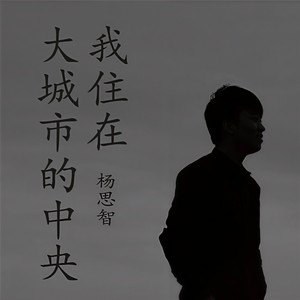 我住在大城市的中央