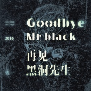 再见，黑洞先生 (整轨版)